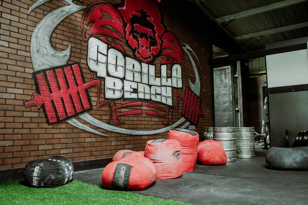 Legacy Barbell Gorilla Bench Painting with Sand Bag Weights
