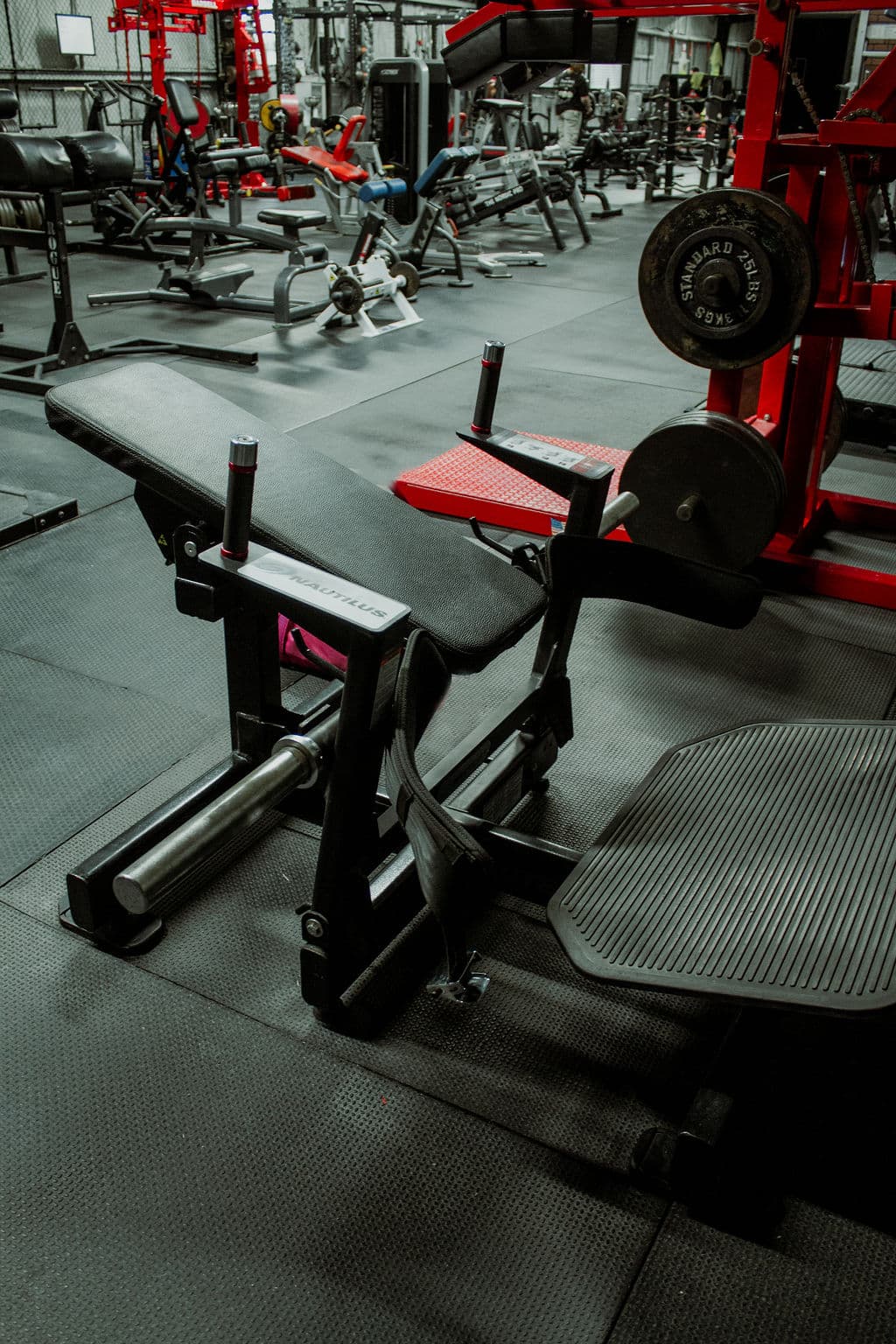 Legacy Barbell Strength and Weight Training Equipment